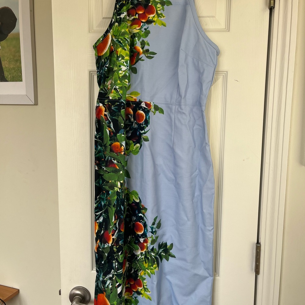 Floral Blue Dress